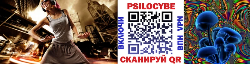 закладки Туран Псилоцибиновые грибы мицелий
